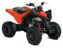 2021 Can-Am DS 250 for sale 201203897